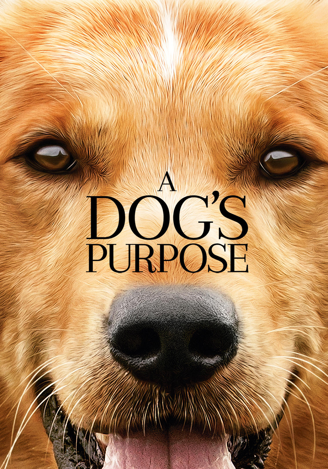 A Dog's Purpose (2017) Kaleidescape Movie Store