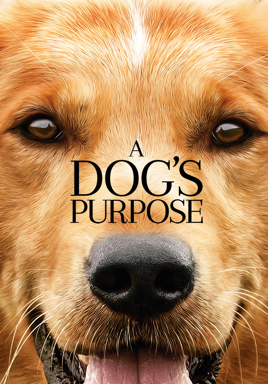 a-dog-s-purpose-2017-kaleidescape-movie-store